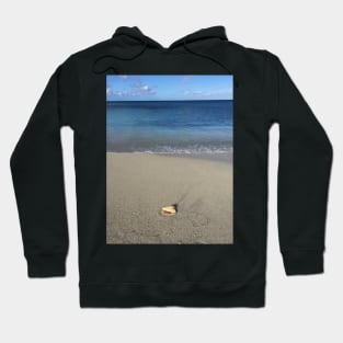 From Antigua with Love Hoodie